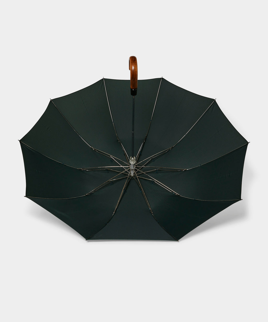 Fox Umbrellas Small Umbrella in Dark Green