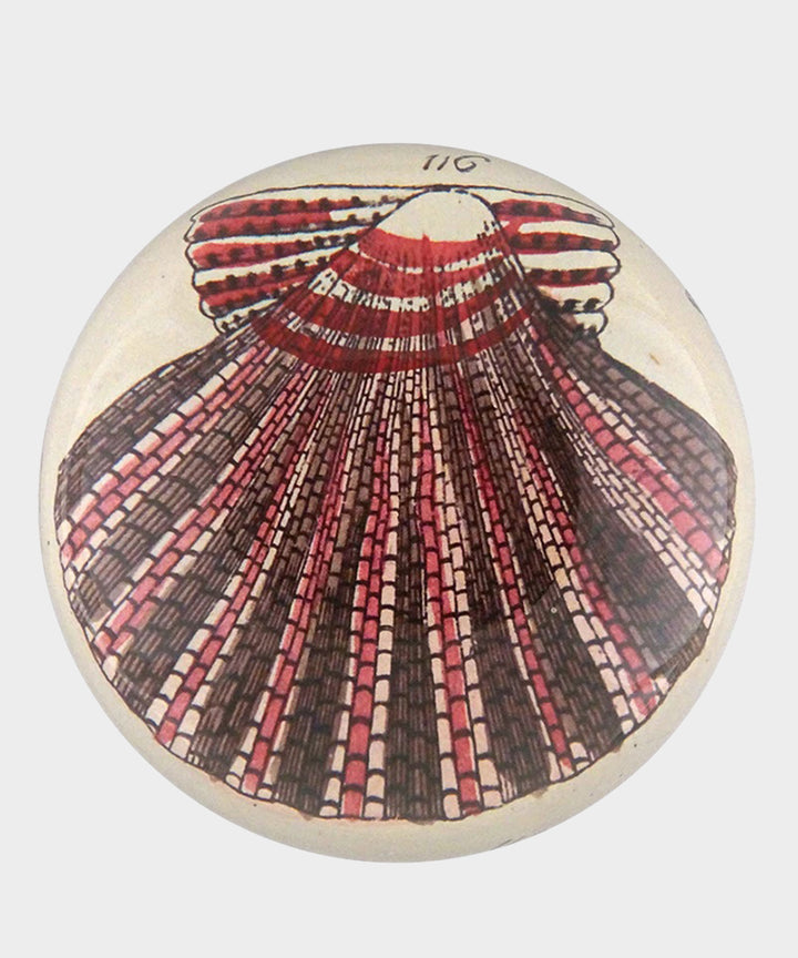 John Derian Scallop 116 Paperweight